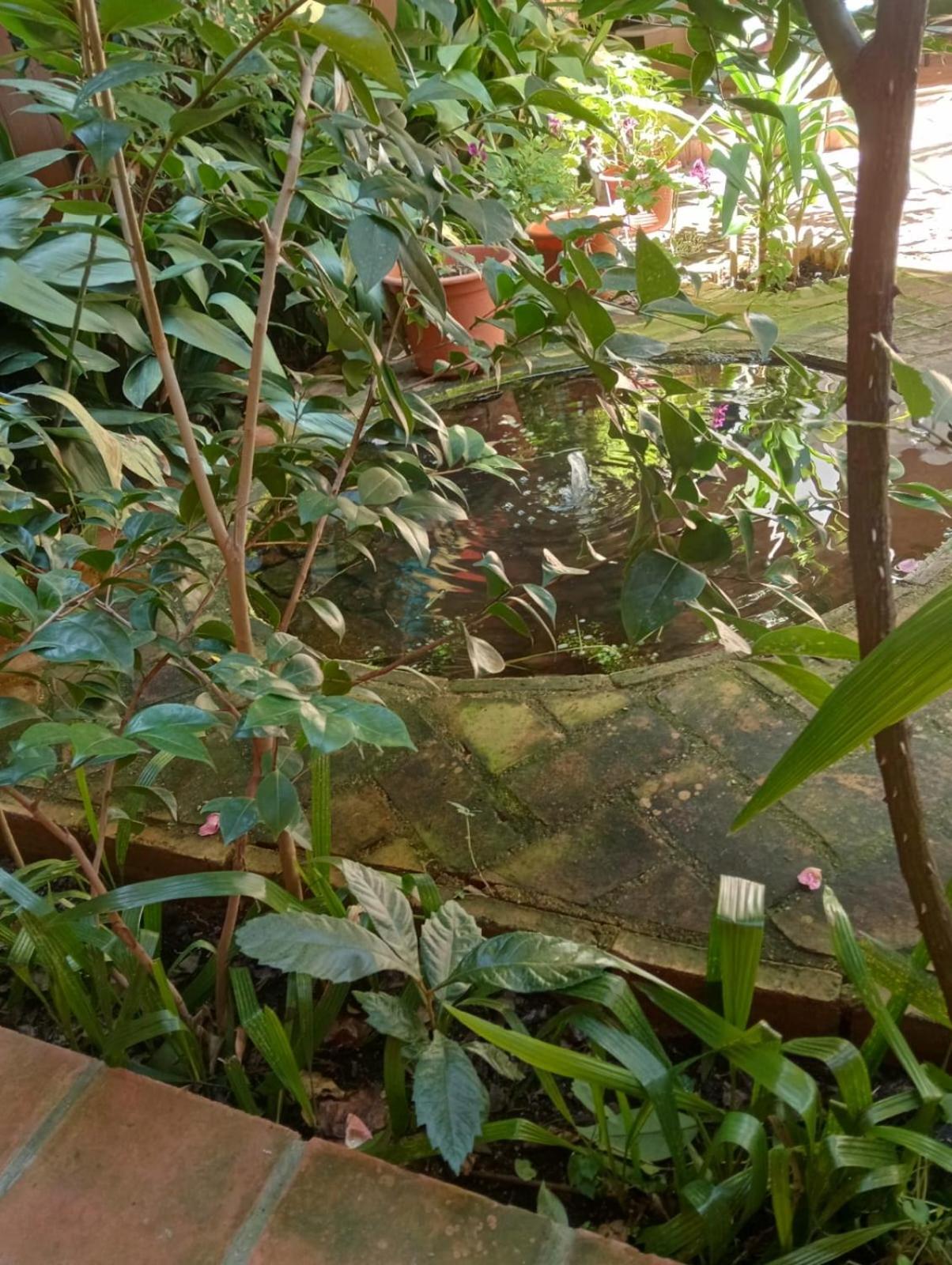 La Venta Del Arriero